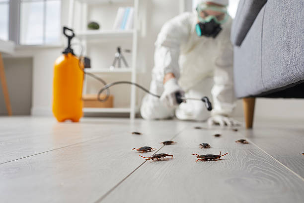 Trusted Fumigation Services service in South Miami Heights, FL - Nex Pest Control