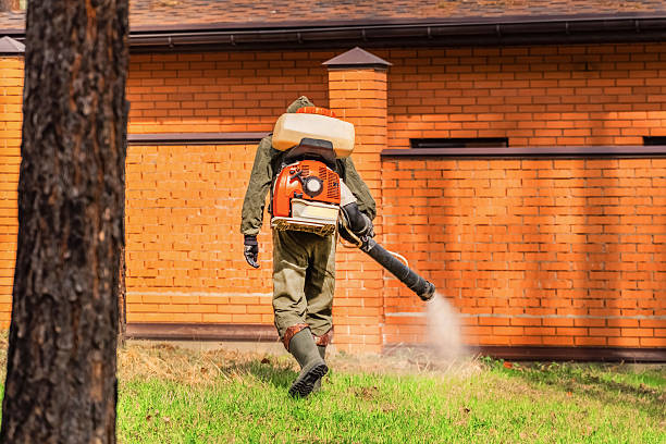 Trusted Bed Bug Control service in South Miami Heights, FL - Nex Pest Control